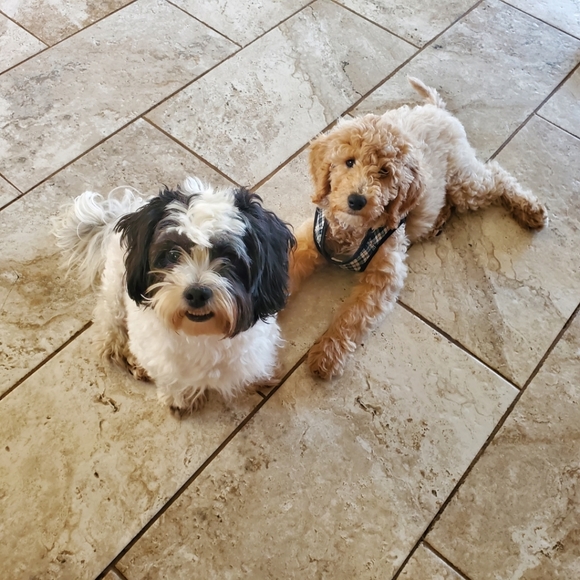 Meet your Posher Nighty Life - Picture 4 of 6